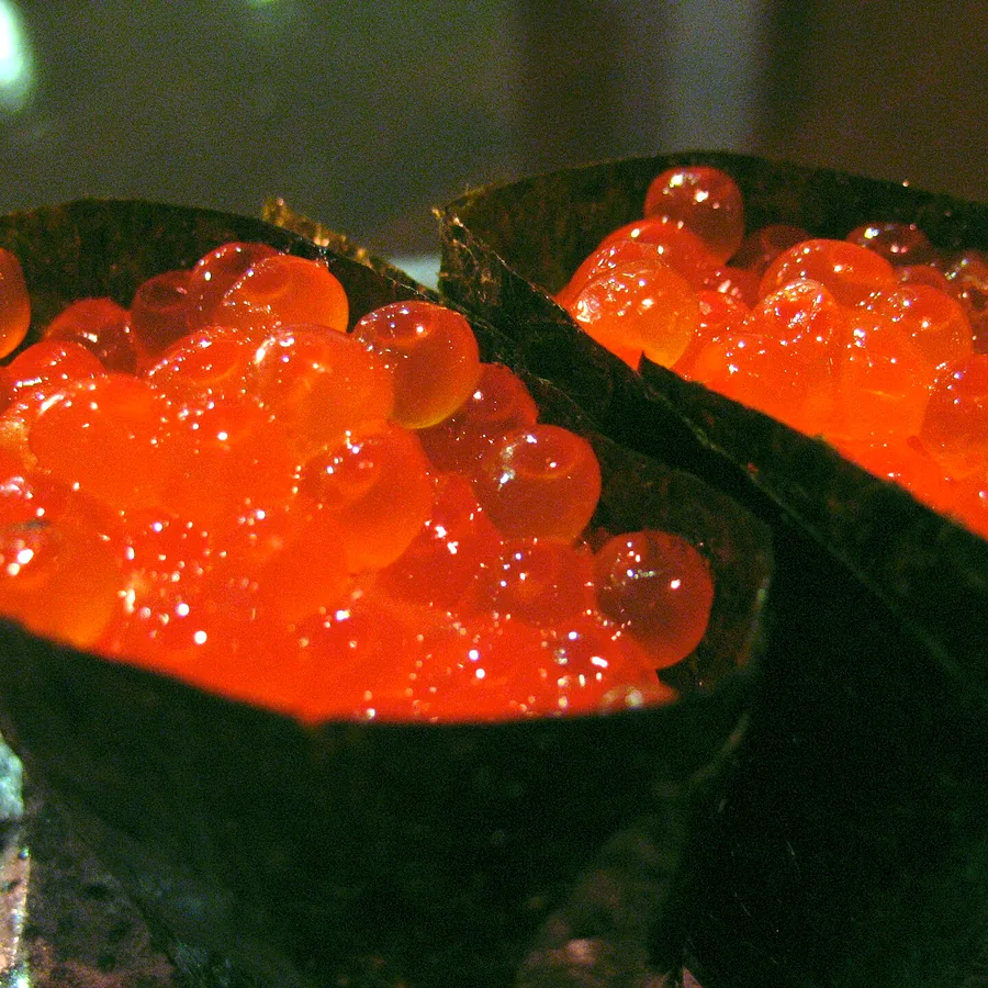Salmon Roe (Ikura)